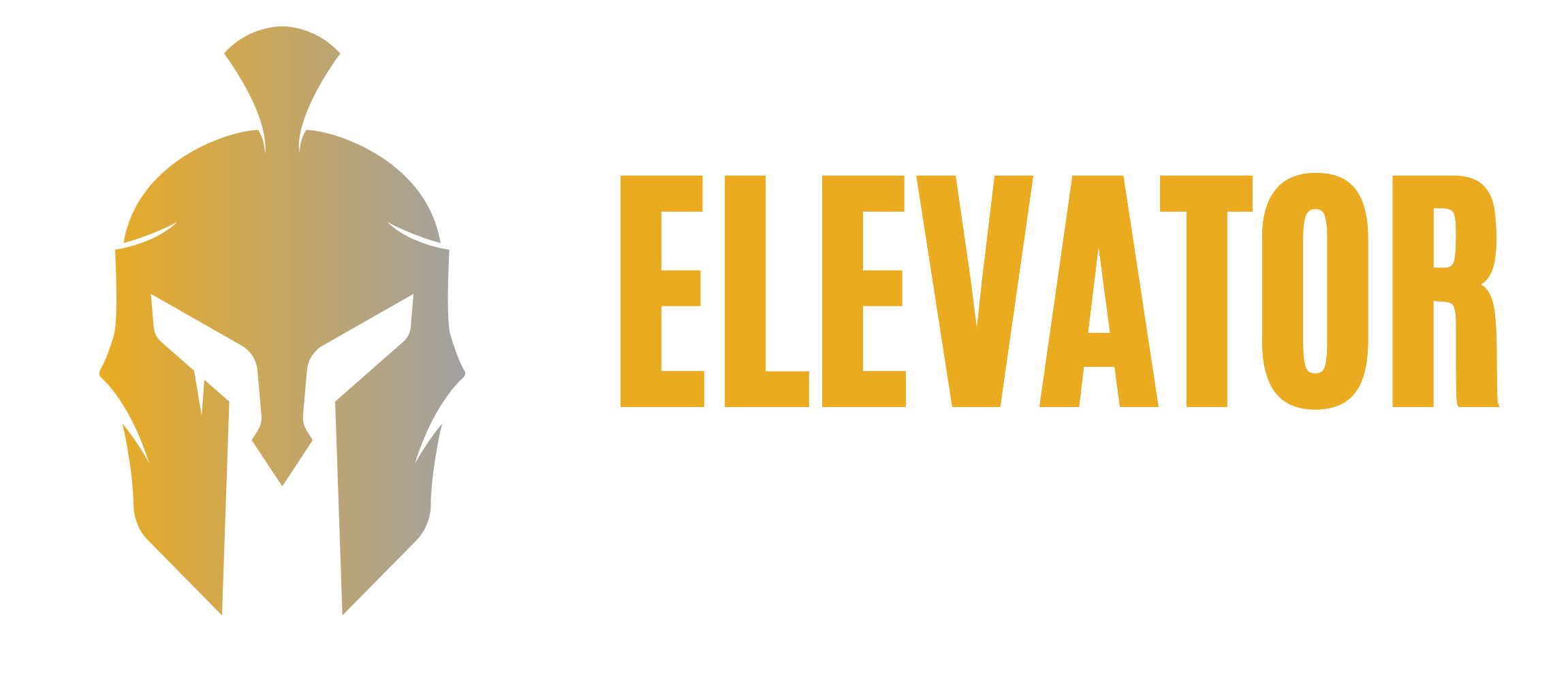 Elevator Armour Website (5)